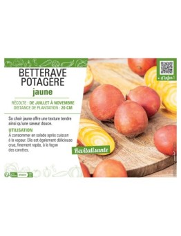 BETTERAVE POTAGERE JAUNE