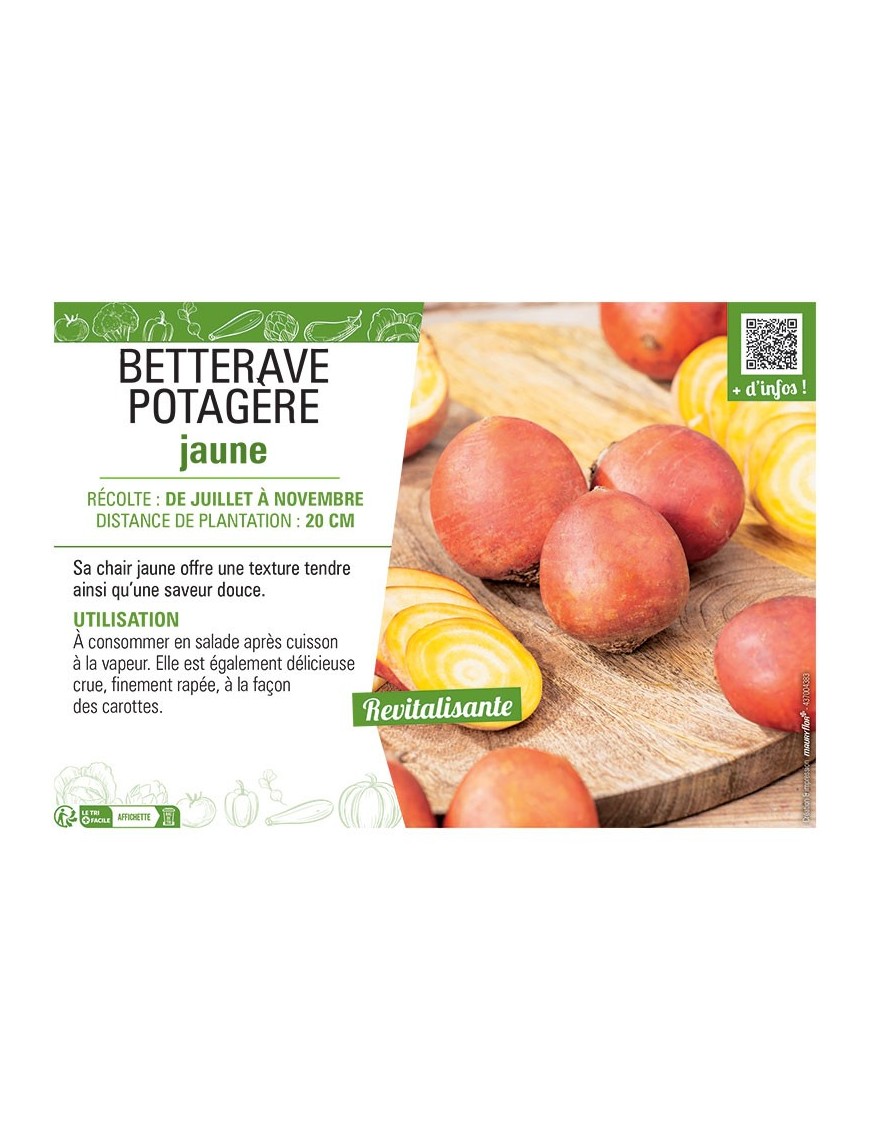 BETTERAVE POTAGERE JAUNE