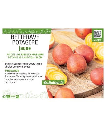 BETTERAVE POTAGERE JAUNE