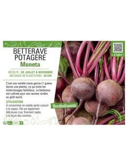 BETTERAVE POTAGERE MONETA