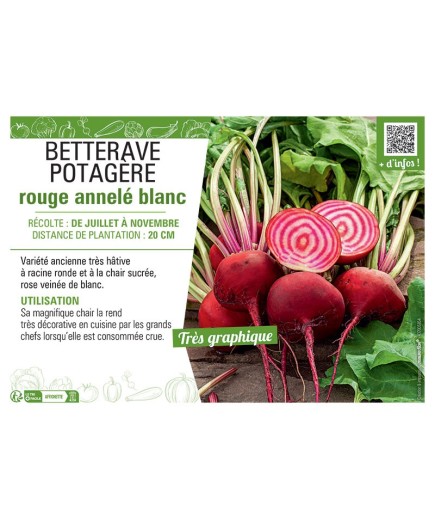 BETTERAVE POTAGERE ROUGE ANNELE BLANC