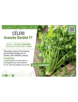 CELERI BRANCHE DARKLET F1