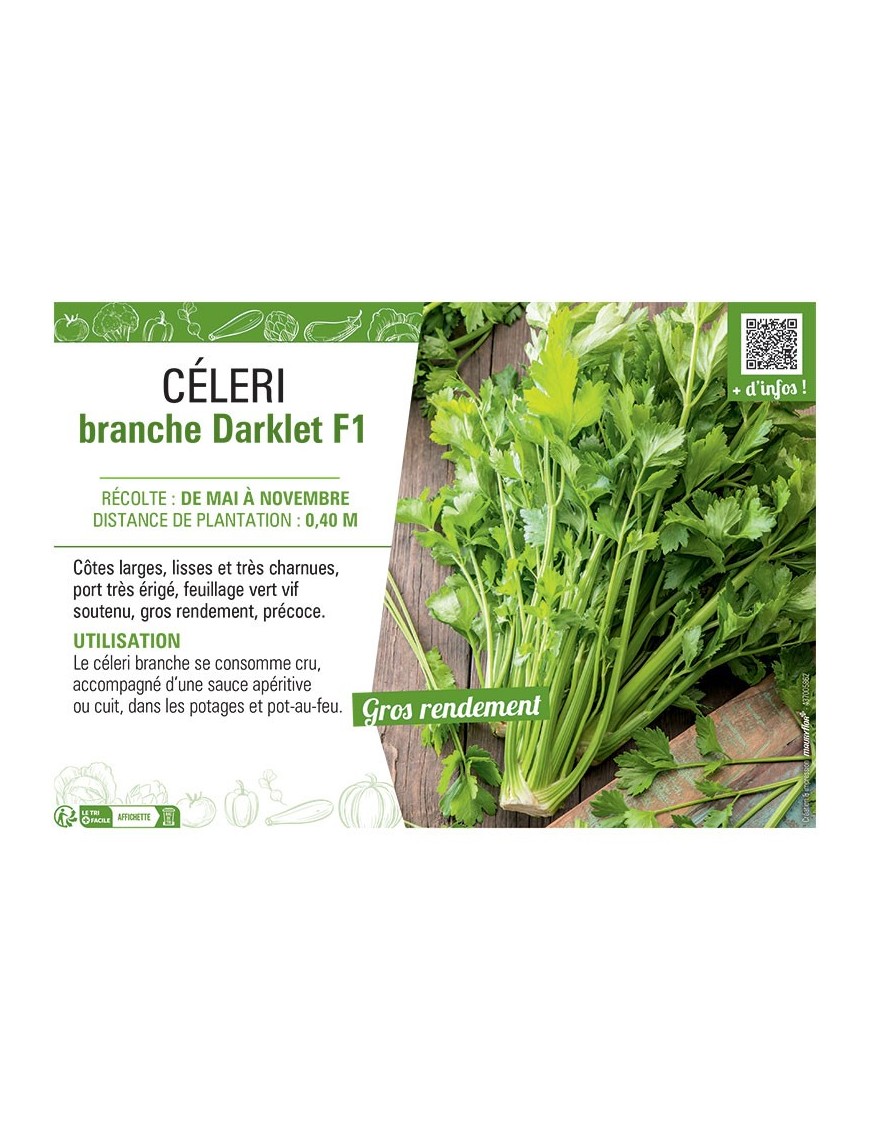 CELERI BRANCHE DARKLET F1