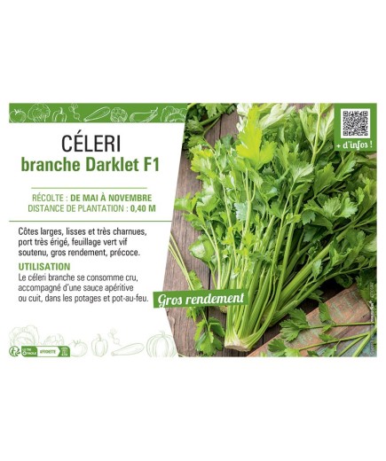 CELERI BRANCHE DARKLET F1