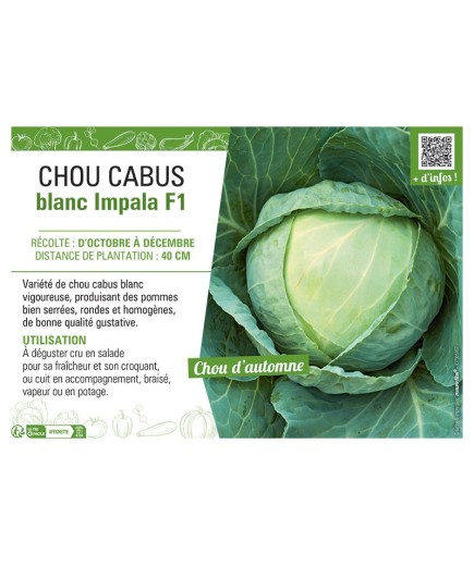 CHOU CABUS BLANC IMPALA F1