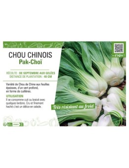 CHOU CHINOIS PAK-CHOÏ