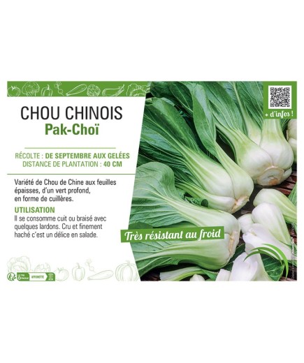 CHOU CHINOIS PAK-CHOÏ