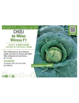 CHOU DE MILAN WIROSA F1