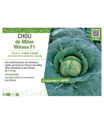 CHOU DE MILAN WIROSA F1