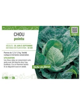 CHOU POINTU