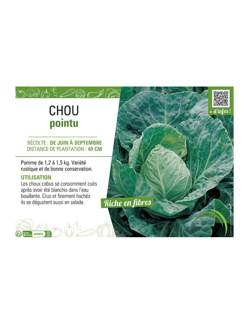 CHOU POINTU