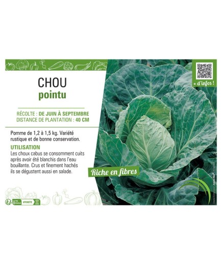 CHOU POINTU