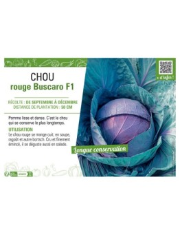 CHOU ROUGE BUSCARO F1