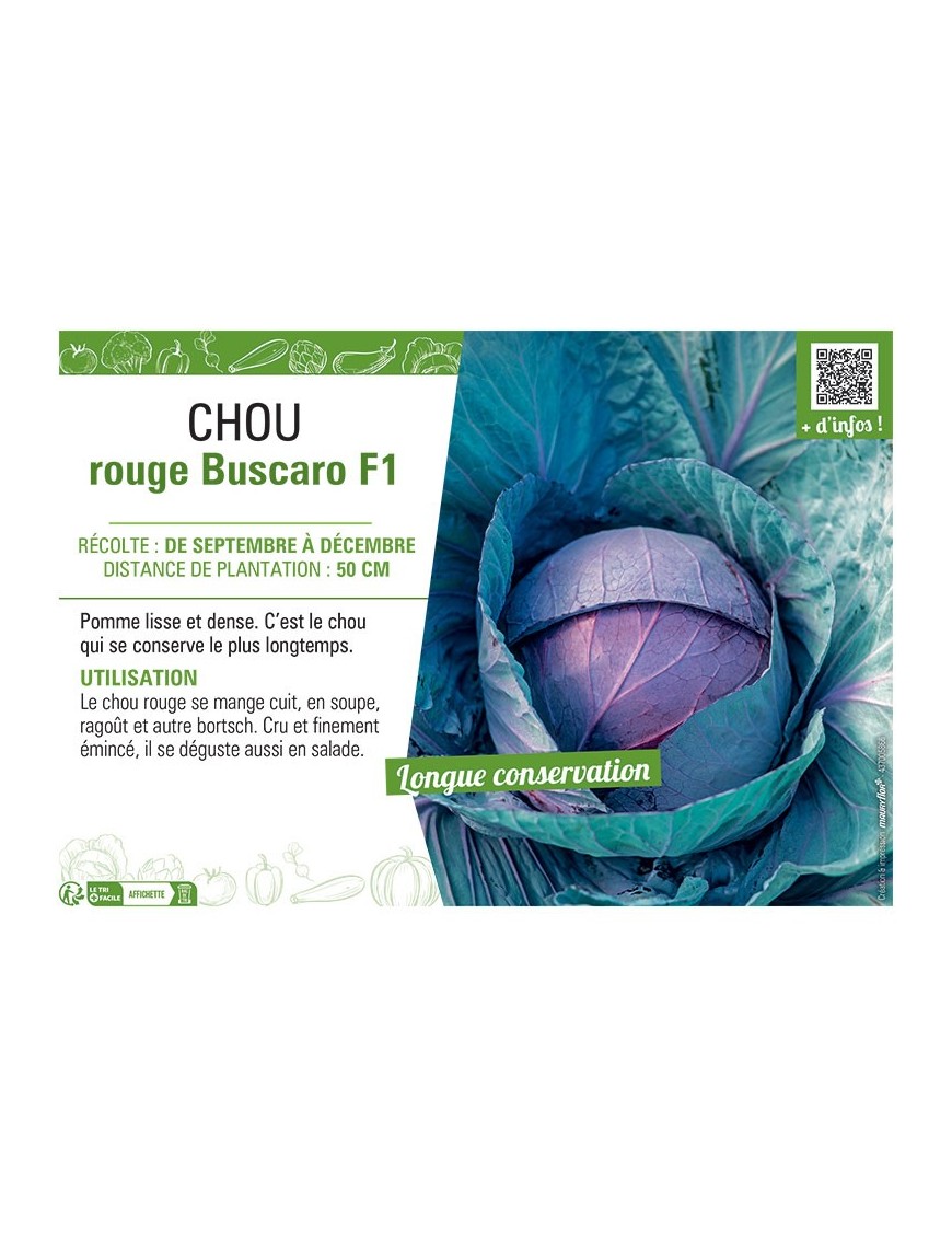 CHOU ROUGE BUSCARO F1