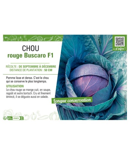 CHOU ROUGE BUSCARO F1