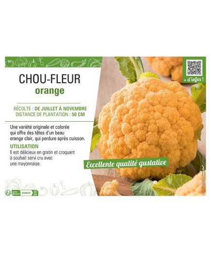 CHOU-FLEUR ORANGE