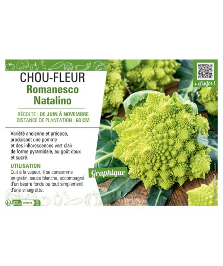 CHOU-FLEUR ROMANESCO NATALINO