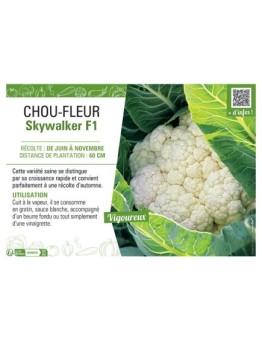 CHOU-FLEUR SKYWALKER F1