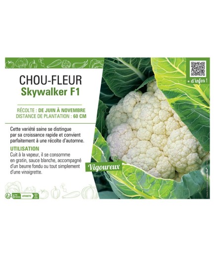 CHOU-FLEUR SKYWALKER F1