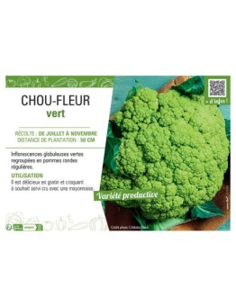 CHOU-FLEUR VERT