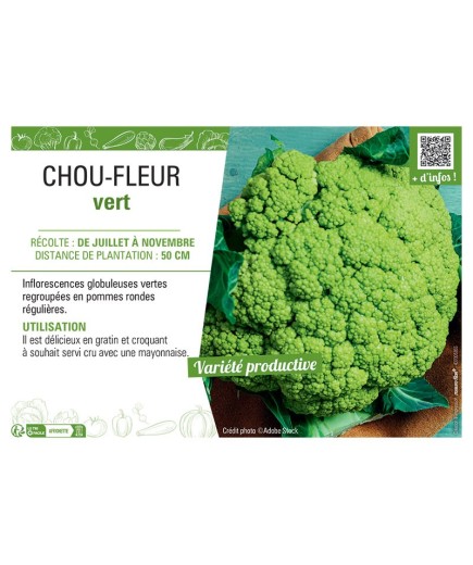 CHOU-FLEUR VERT