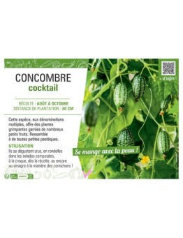CONCOMBRE COCKTAIL
