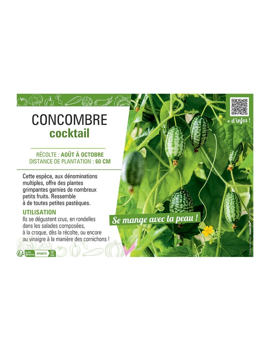 CONCOMBRE COCKTAIL