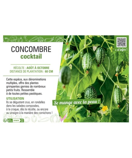 CONCOMBRE COCKTAIL