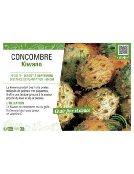 CONCOMBRE KIWANO