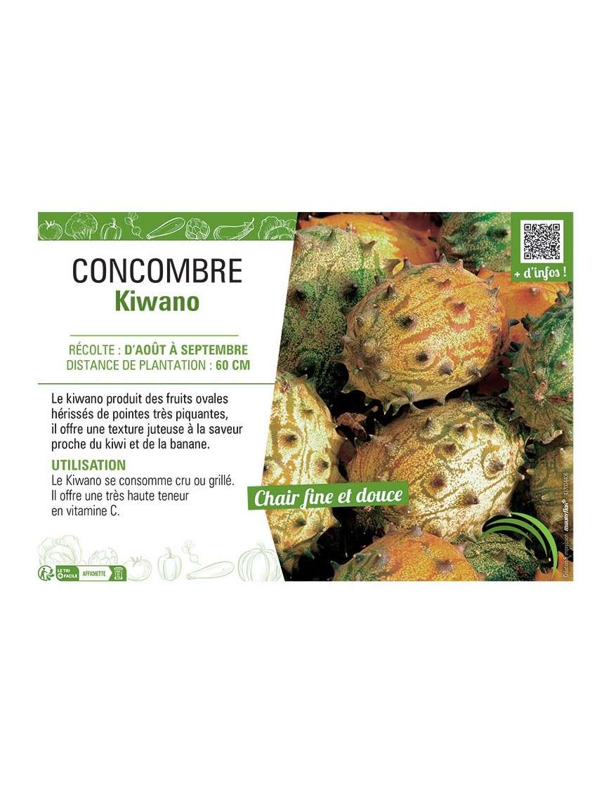 CONCOMBRE KIWANO