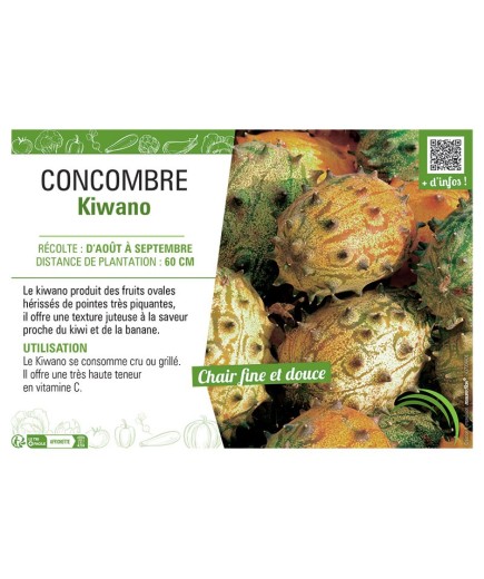 CONCOMBRE KIWANO