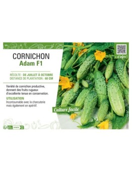CORNICHON ADAM F1