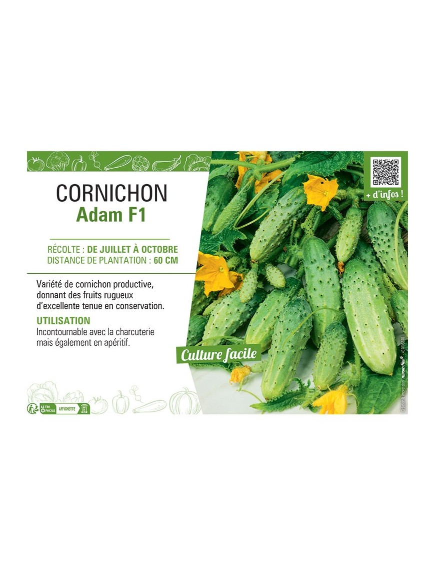 CORNICHON ADAM F1