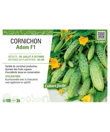 CORNICHON ADAM F1