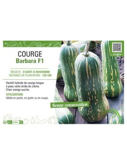 COURGE BARBARA F1