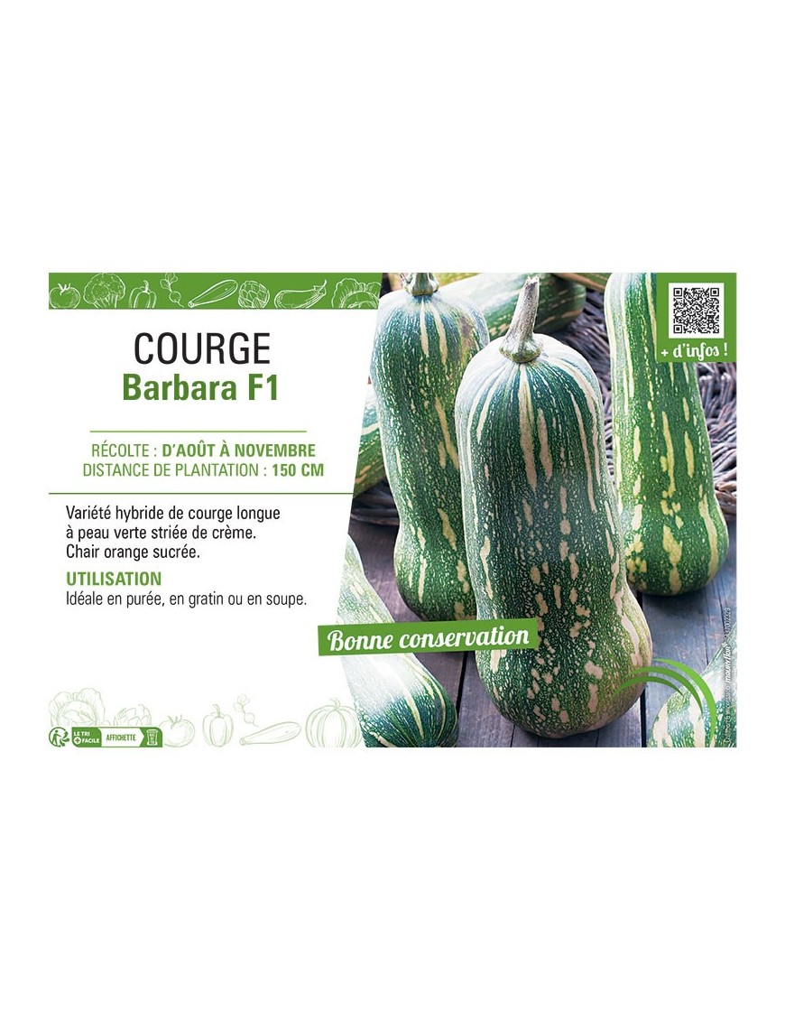 COURGE BARBARA F1