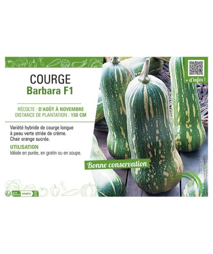 COURGE BARBARA F1