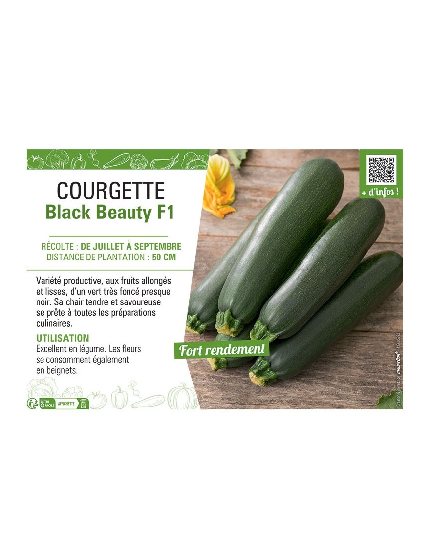 COURGETTE BLACK BEAUTY F1