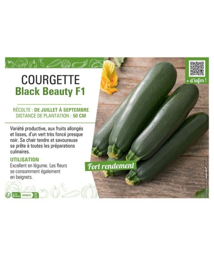 COURGETTE BLACK BEAUTY F1