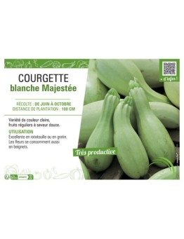 COURGETTE BLANCHE MAJESTEE