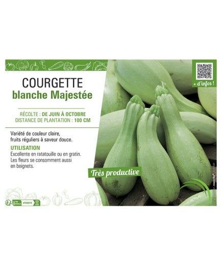 COURGETTE BLANCHE MAJESTEE