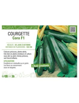 COURGETTE CORA F1