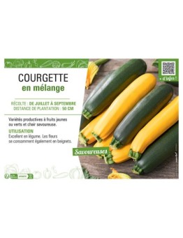 COURGETTE EN MELANGE