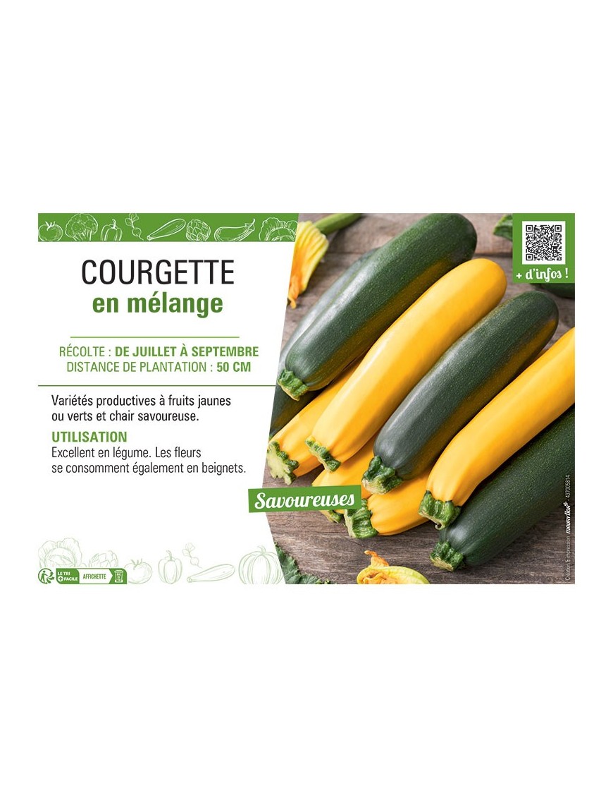 COURGETTE EN MELANGE
