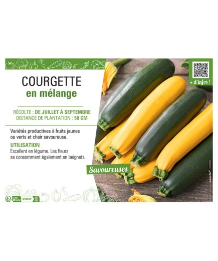 COURGETTE EN MELANGE