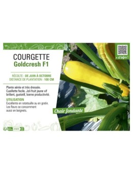 COURGETTE GOLDCRESH F1