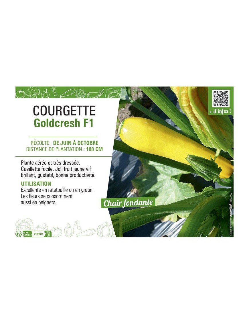 COURGETTE GOLDCRESH F1