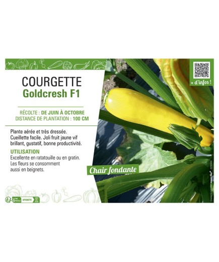 COURGETTE GOLDCRESH F1