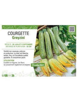 COURGETTE GREYZINI