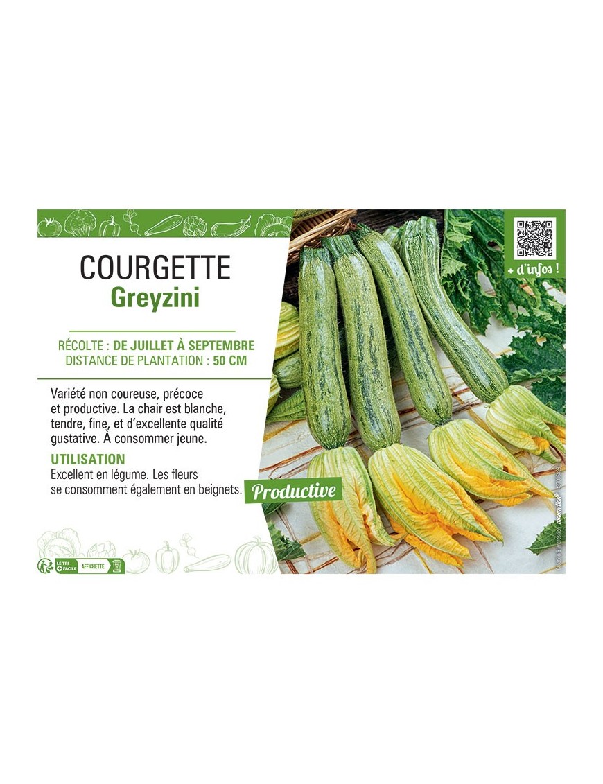 COURGETTE GREYZINI
